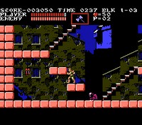 une photo d'Ã©cran de Castlevania 3 - Dracula s Curse sur Nintendo Nes